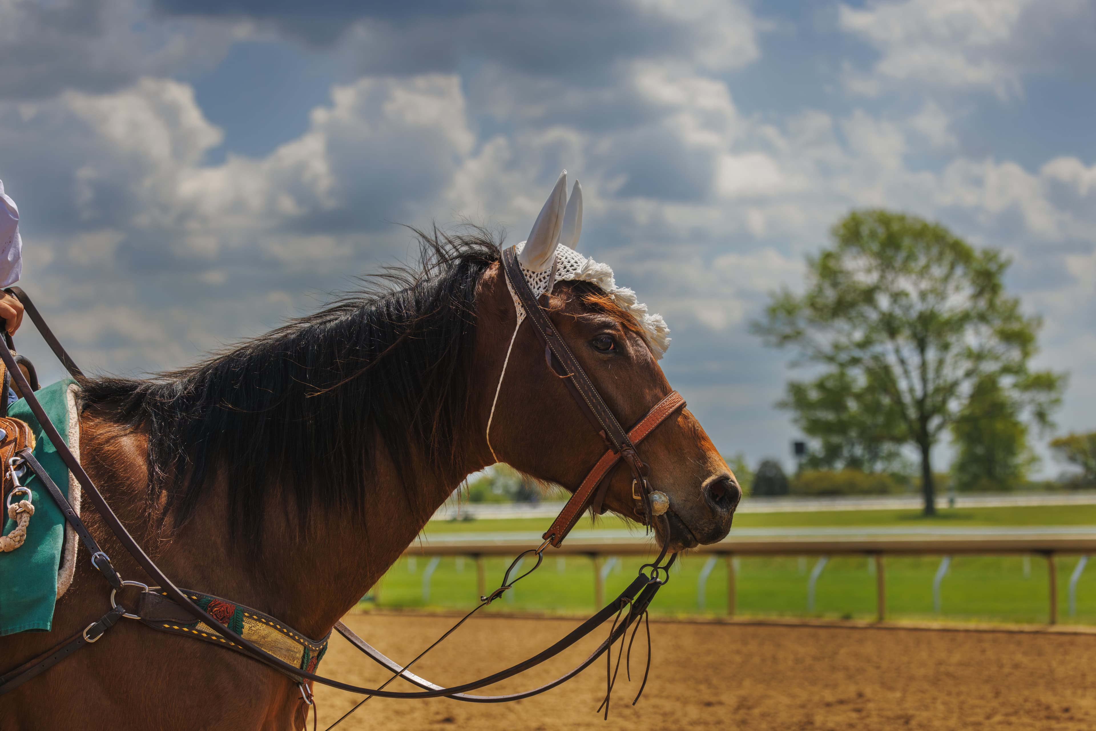 Horseracing Integrity and Safety Authority