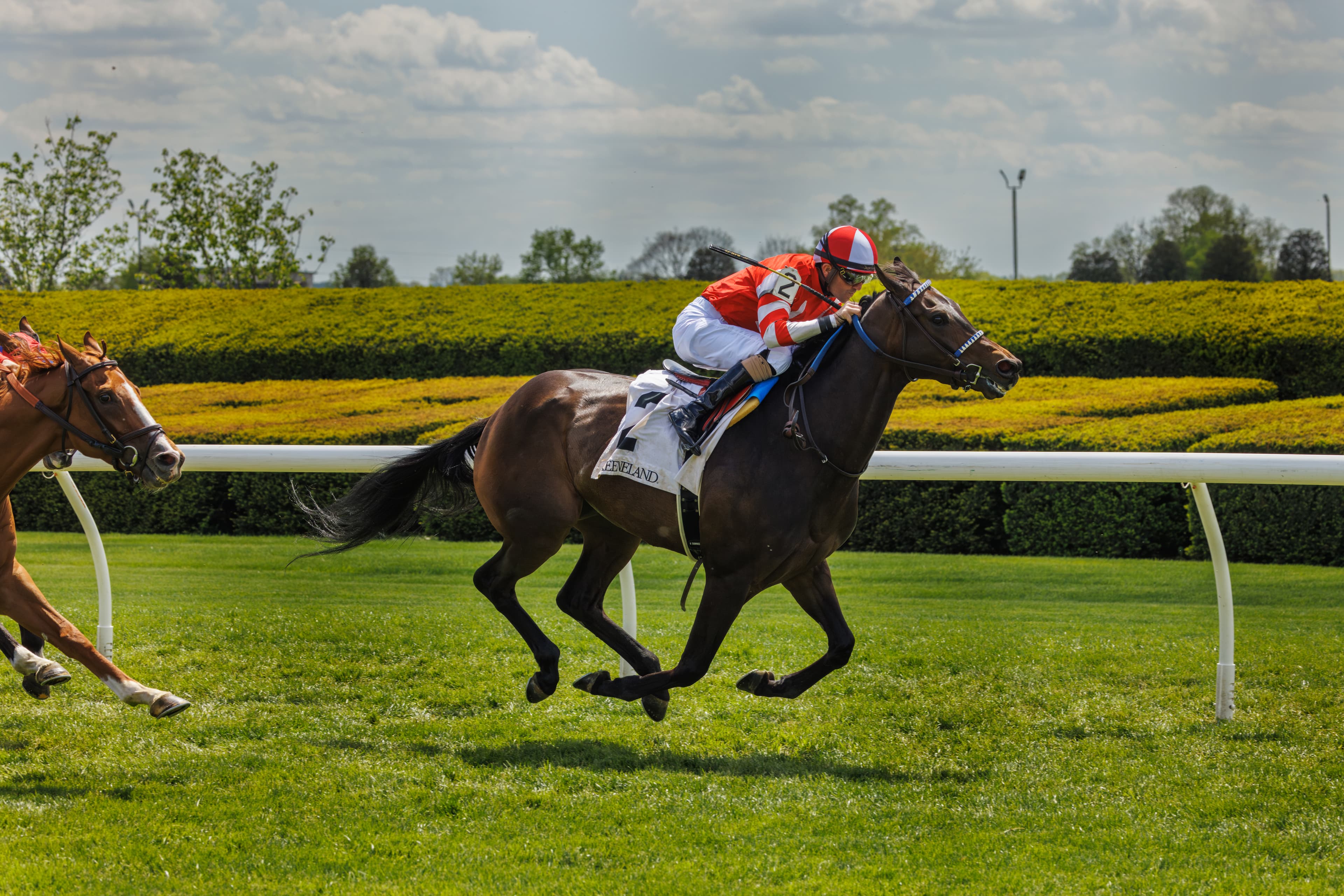 Horseracing Integrity and Safety Authority